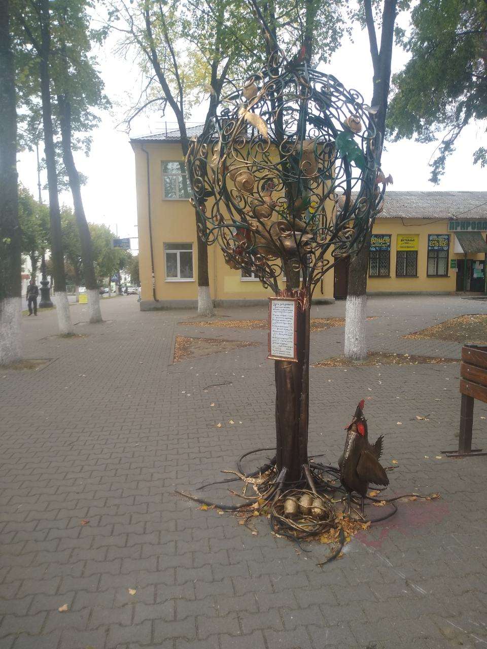 денежное дерево